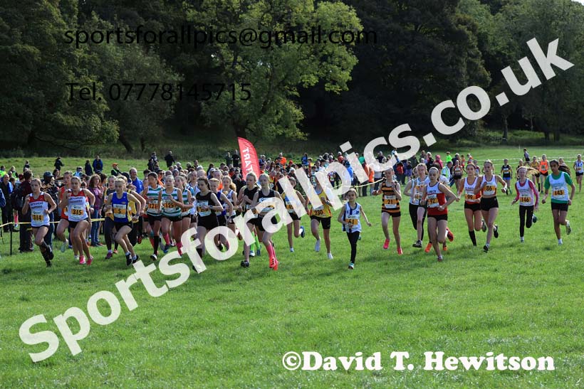 Girls under-13s 2024 Start Fitness NEHL, Thornley Hall Farm, Peterlee, Saturday, September 28th.   Photo: David T. Hewitson/Sports for All Pics